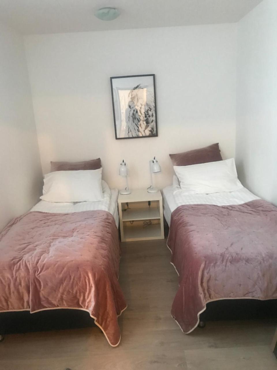 Готель 10B Gamla Laeknishusith Hg15108 Saudarkrokur Екстер'єр фото